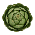 Artichoke