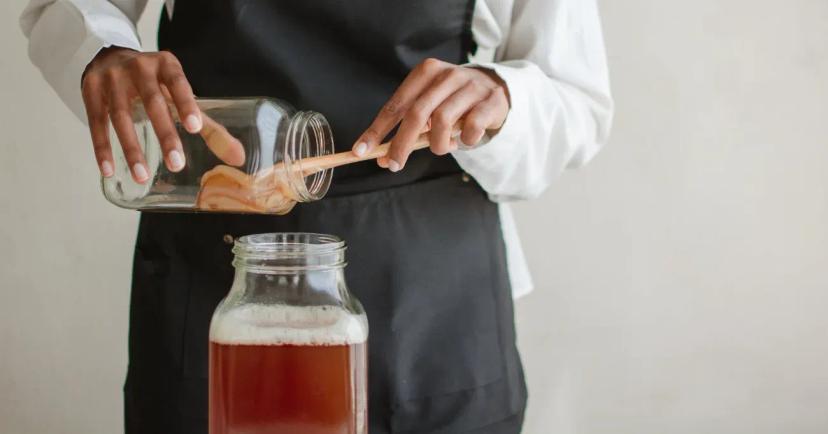 7-best-kombucha-for-gut-health-what-to-look-for